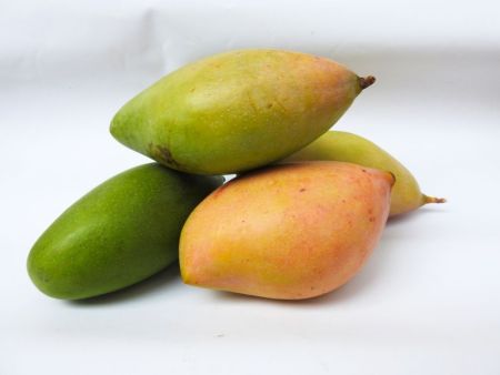 Totapuri Mango - 3kg