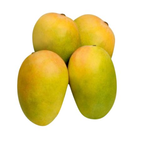 Kesar Mango - 10kg