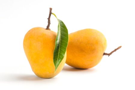 Alphonso Mango - 2 Dozen