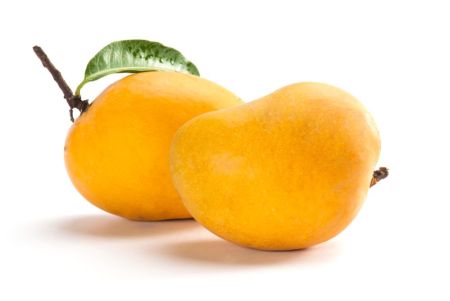Alphonso Mango - 1 Dozen