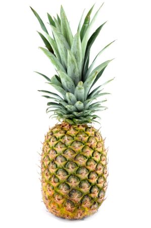 Pineapple Queen Variety