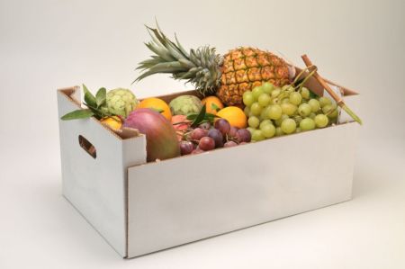 Regular Fruit Pack